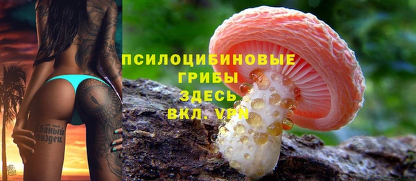 твердый Армянск