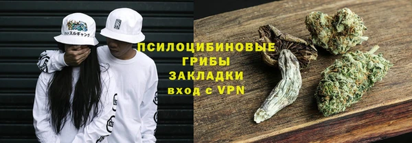 твердый Армянск