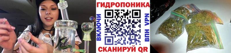 Бошки марихуана Bruce Banner Октябрьск